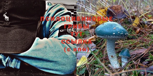 тгк Аркадак