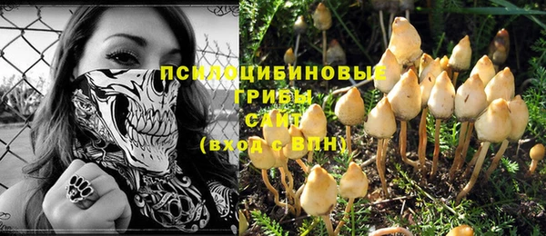 тгк Аркадак