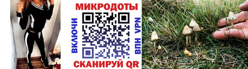 где продают наркотики  МЕГА как зайти  Псилоцибиновые грибы Psilocybe  Малоархангельск 